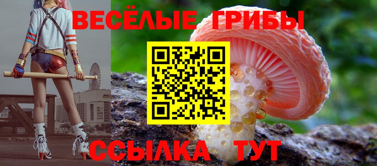 Псилоцибиновые грибы Magic Shrooms Ишимбай
