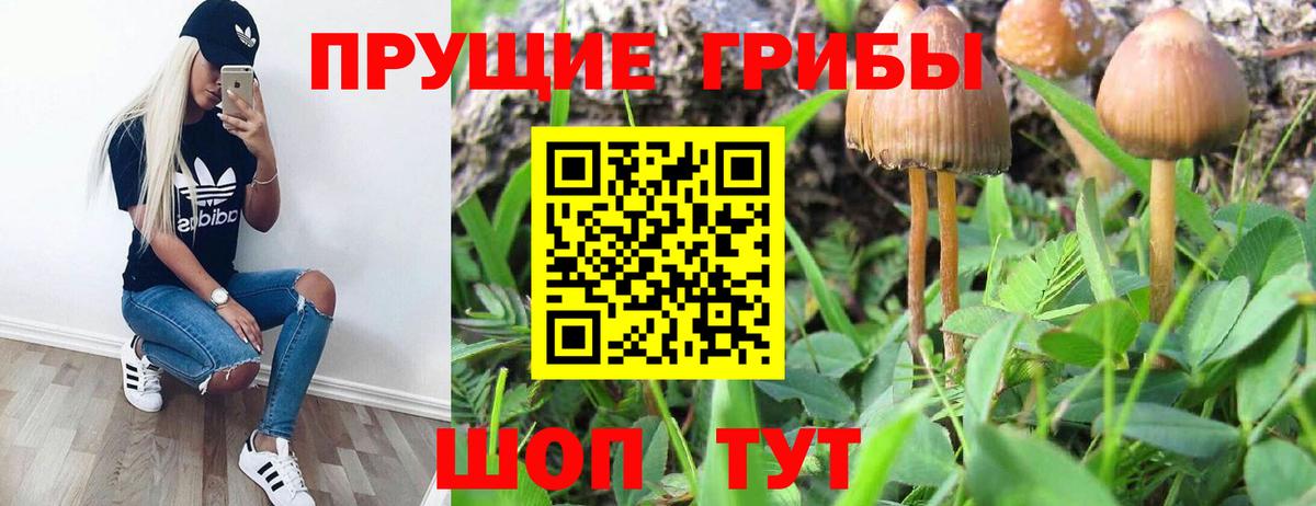 Псилоцибиновые грибы Psilocybine cubensis  сколько стоит  Ишимбай  Вход с VPN 